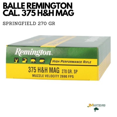 BALLE REMINGTON 375 H&H MAG