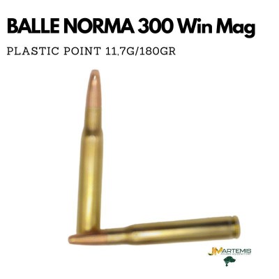 NORMA 300 WIN MAG PLASTIC POINT