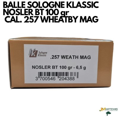 BALLE SOLOGNE KLASSIC CAL. WHEATHERBY MAG 100gr