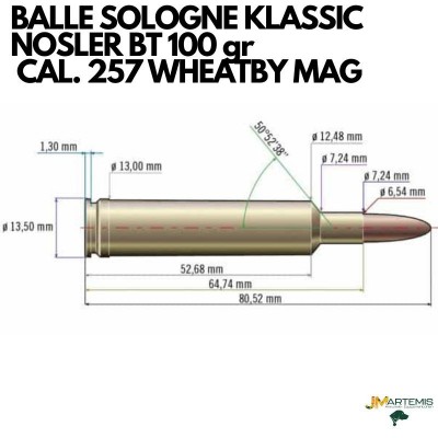 BALLE SOLOGNE KLASSIC CAL. WHEATHERBY MAG 100gr