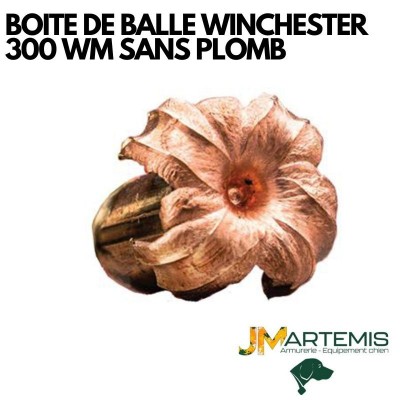 BOITE DE BALLE WINCHESTER 300WM EXTREME POINT COPPER IMPACT (SANS PLOMB)