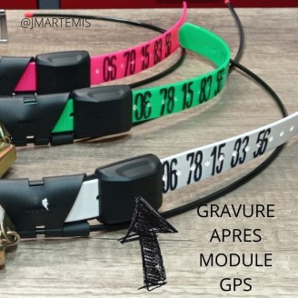 GRAVURE CHIEN PERSONNALISÉ SPÉCIALE GARMIN /SPORTDOG