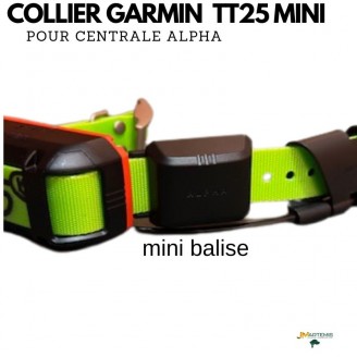 COLLIER GARMIN TT25 MINI repérage et dressage