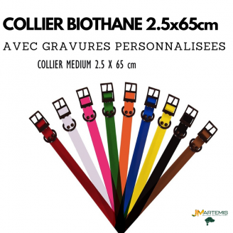 Collier pour chien avec gravures personnalisées BIOTHANE US