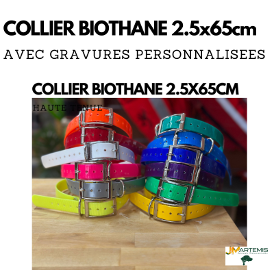 Collier gravé pour chien